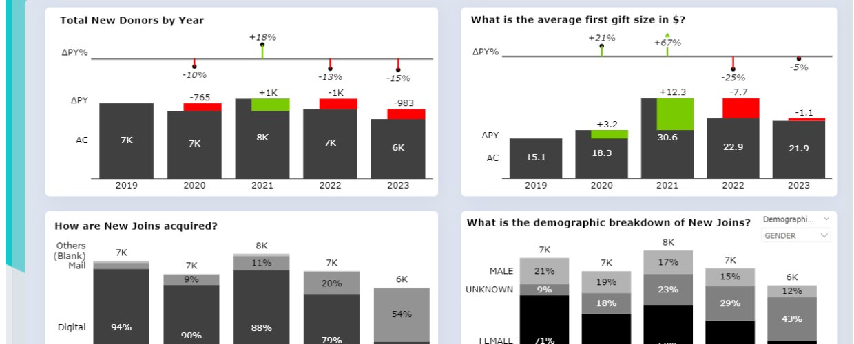 NGO Power BI Dashboard