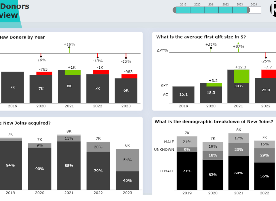 NGO Power BI Dashboard